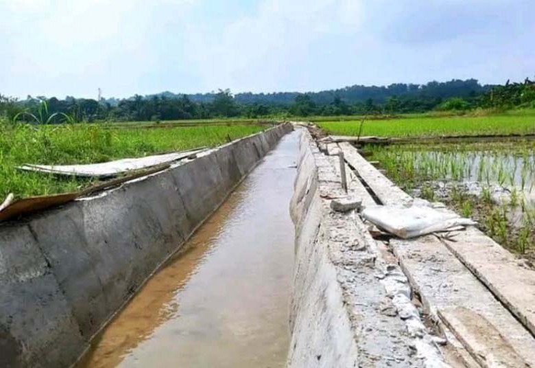 Tahun Ini Pemkab Kukar Bangun 11 Kilometer Saluran Irigasi