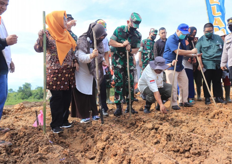 Perkuat Sinergi Ketahanan Pangan, Kodam VI/Mlw Latihkan Pelatihan Tanaman Sorgum di Lahan Transad
