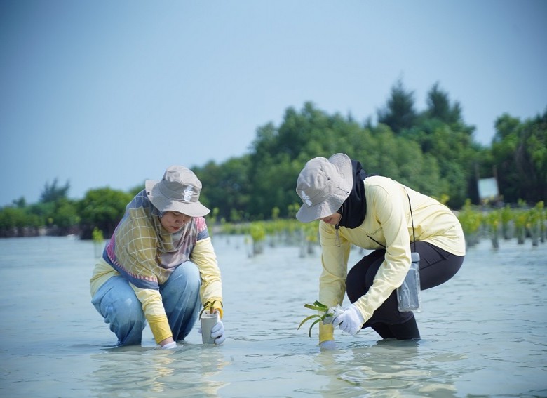 Dukung Mitigasi Perubahan Iklim, Pertamina Hulu Indonesia Gelar Aksi Tanam Mangrove dan Lamun di Kepulauan Seribu