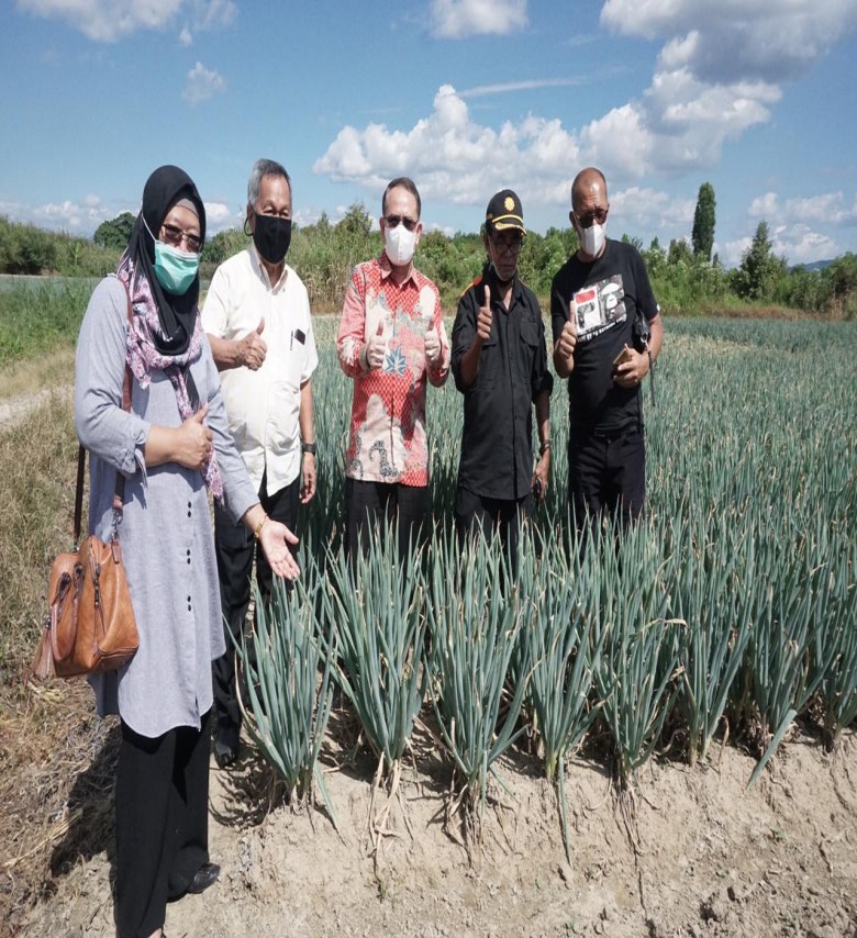 Merangkai Jejaring Sayur Hingga Poso