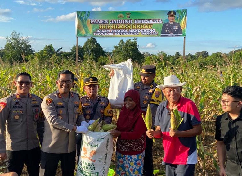 Dukung Ketahanan Pangan, Polres Berau Panen Jagung di Sei Bebanir Bangun
