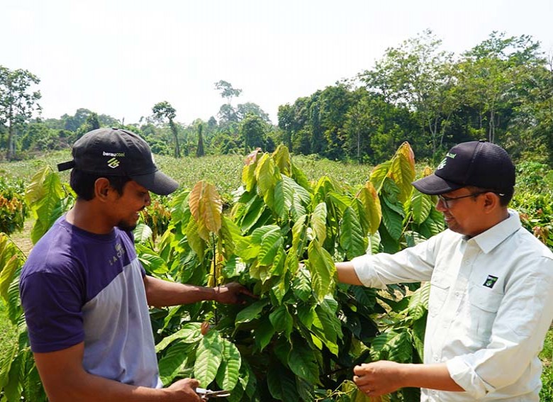 Berau Coal Dampingi Nursalim Mengubah Kebun Sederhana Menjadi Ekosistem Ekonomi Keluarga