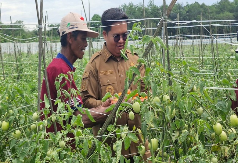 Genjot Sektor Pertanian Kukar Sebagai Lumbung Pangan IKN, Edi - Rendi Gelontorkan Rp 700 M