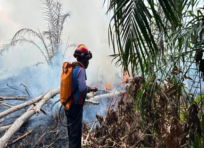 Karhutla Hanguskan 2,5 Hektare Lahan di Muara Badak