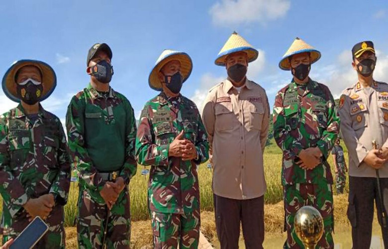 Pangdam VI Mulawarman Tinjau Lahan Cadangan Pangan Nasional