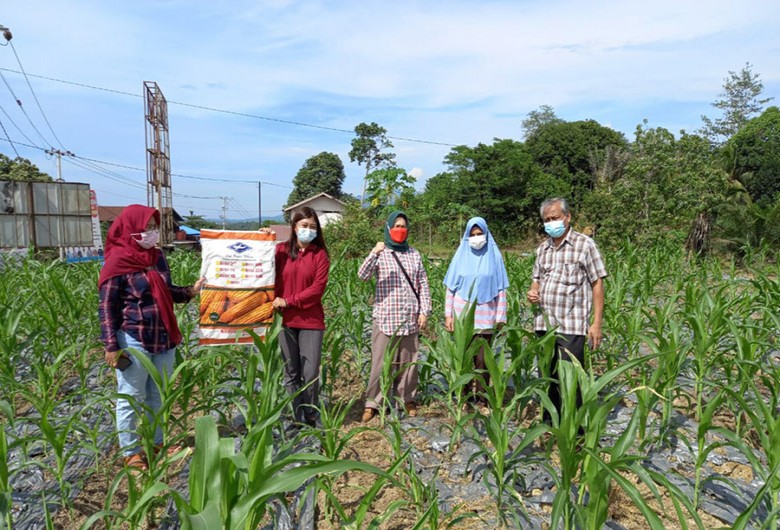 DPTPH Intensifkan Kegiatan Monitoring dan Evaluasi