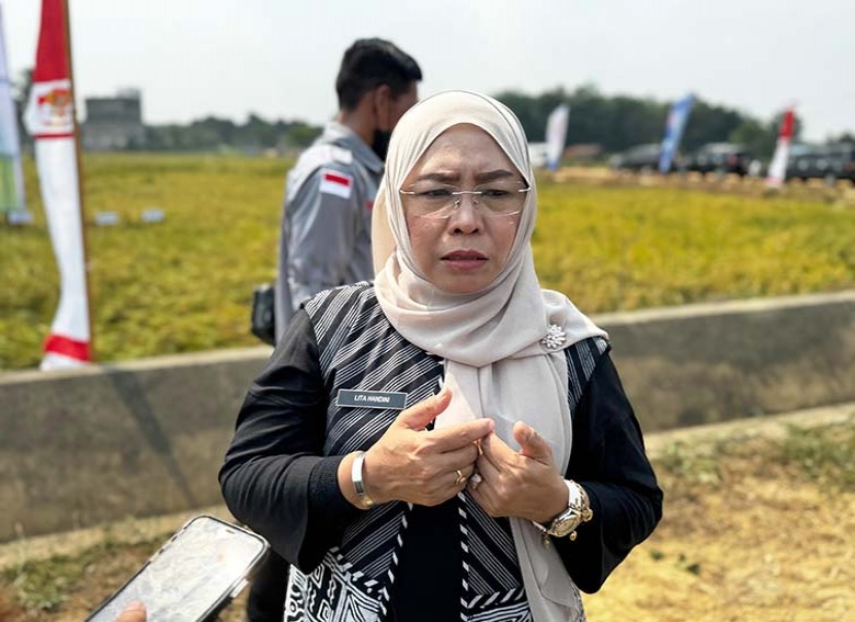 DTPHP Berau Bergerak Hadapi Kemarau Panjang, Produksi Padi Baru 40 Persen, Sejumlah Lahan Gagal Panen dan Jadwal Tanam Terancam Bergeser