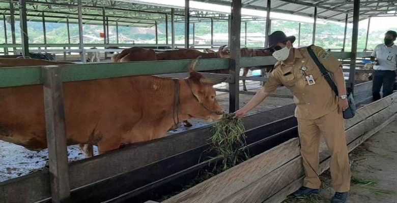 Menjelang  Hari Raya Kurban,  Stok Daging  Aman