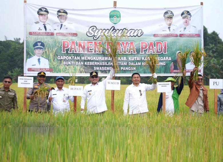 Hadiri Syukuran Panen Raya di Kukar, Wagub Seno Aji: Program Pemerintah untuk Produksi Beras Sudah Terwujud