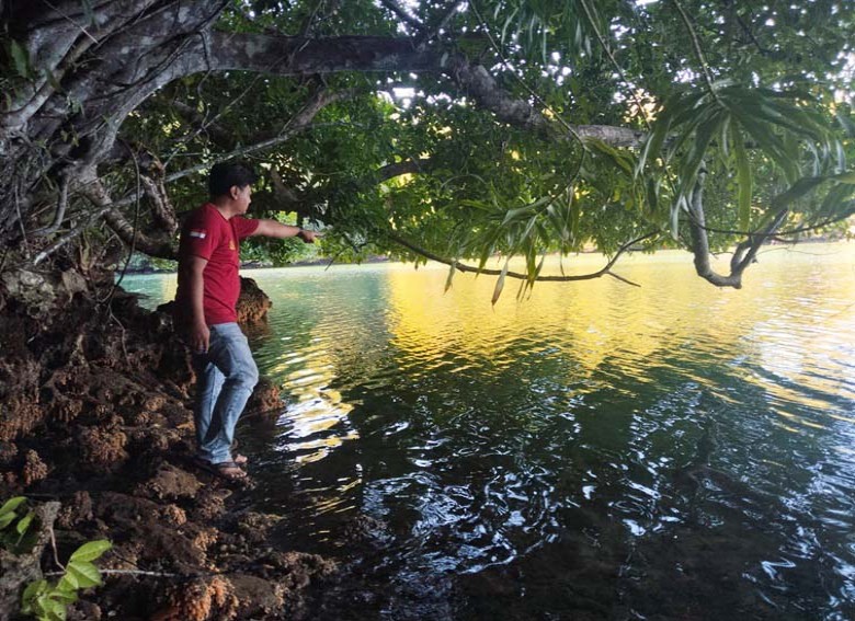 Serangan Buaya di Pulau Maratua Kini Jadi Ancaman Serius, DPRD Berau Minta Pemerintah Segera Ambil Tindakan