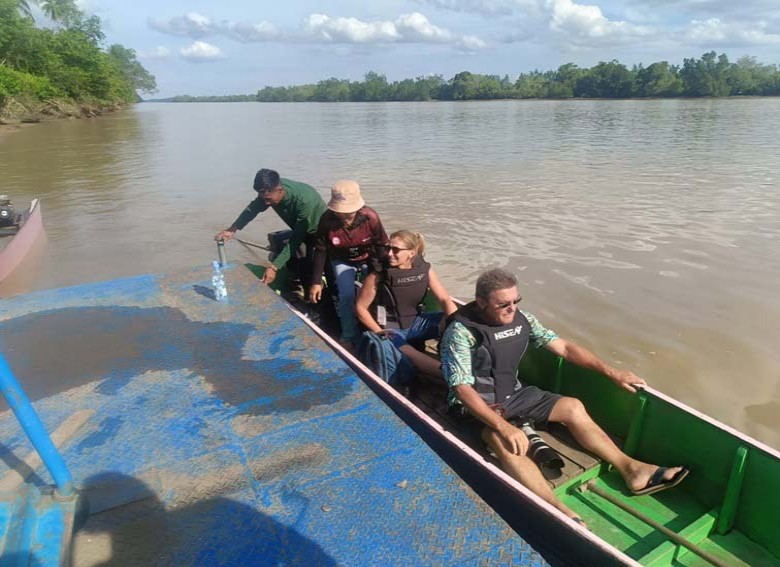 Berwisata Susur Sungai Pulau Besing Menanti Bekantan Jadi Daya Tarik Bagi Wisatawan Mancanegara