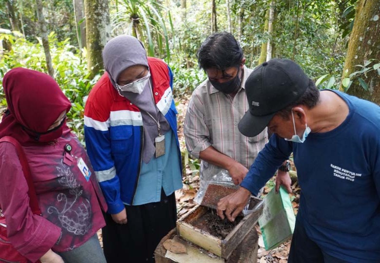 Pertamina Ajak Masyarakat Budidaya Lebah Madu Kelulut