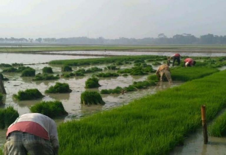 Desa Tanjung Batu Maksimalkan Potensi Pertanian