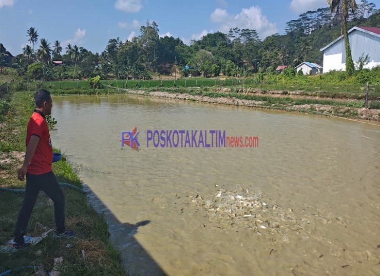 KPT Sumbersari Diproyeksikan jadi Sentra Inovasi Pertanian dan Agrowisata
