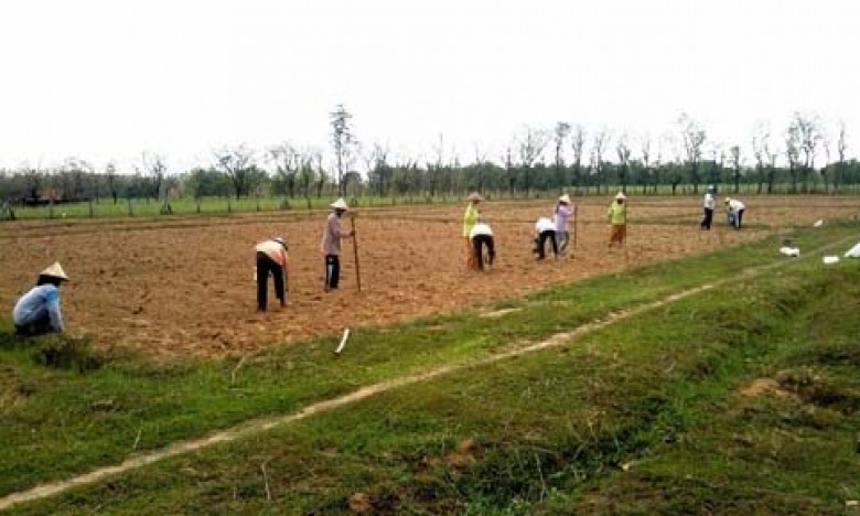 Distanak Kukar Lebih Kedepankan Intensifikasi Lahan 