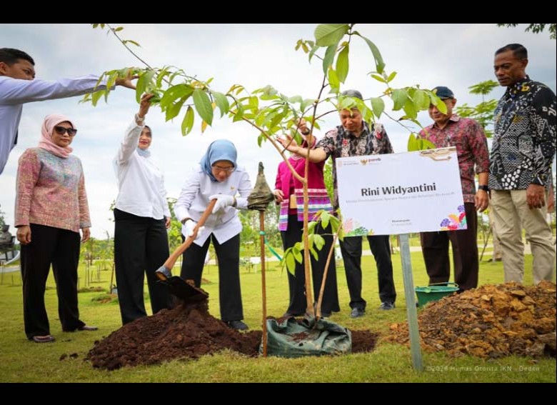 MenPANRB dan Insan Otorita IKN Tanam Ratusan Pohon di KIPP Nusantara
