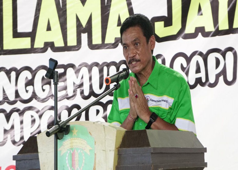 Kaltim Membutuhkan 60 Ribu Ekor Sapi Pertahun