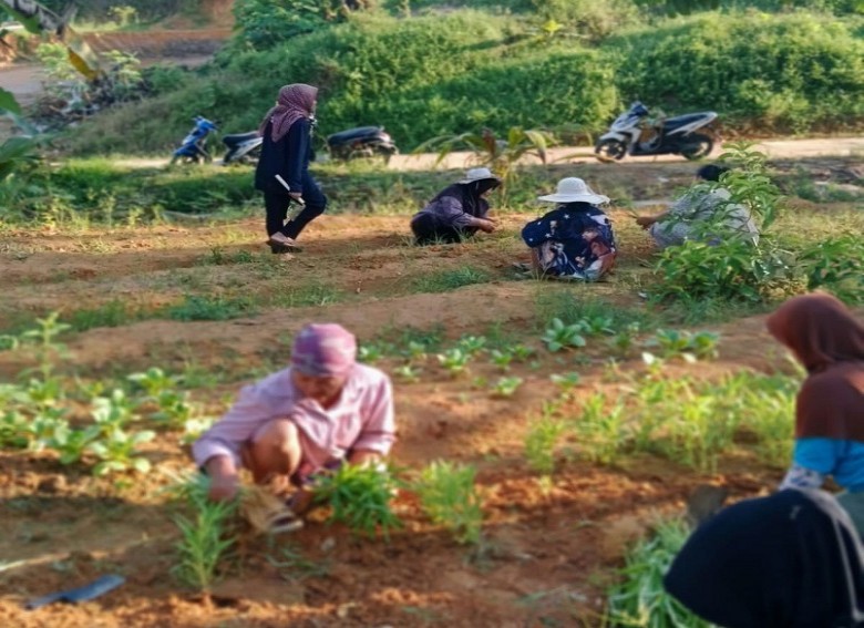 DPMD Kukar Dorong Inovasi Hijau di Lingkungan RT Lewat Tanaman Toga dan Sayur