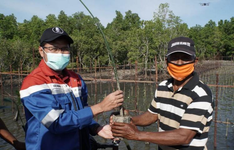 Peringati Hari Sumpah Pemuda, Hari Cinta Puspa dan Satwa Nasional, Pertamina RU V Tanam 3.500 Pohon Mangrove