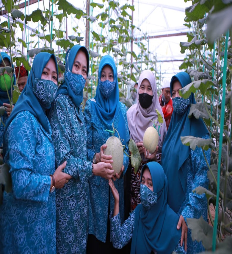 Ketua TP PKK Kaltim Resmikan Green House Hidayat Farm