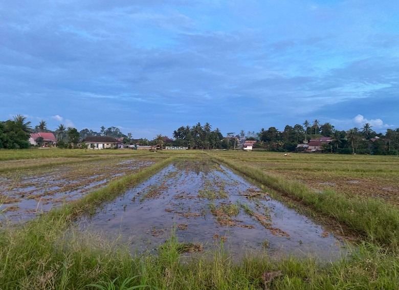 Bappeda Kukar Petakan Pengembangan Pertanian di Zona Utara, Fokus Perluasan Komoditas Unggulan